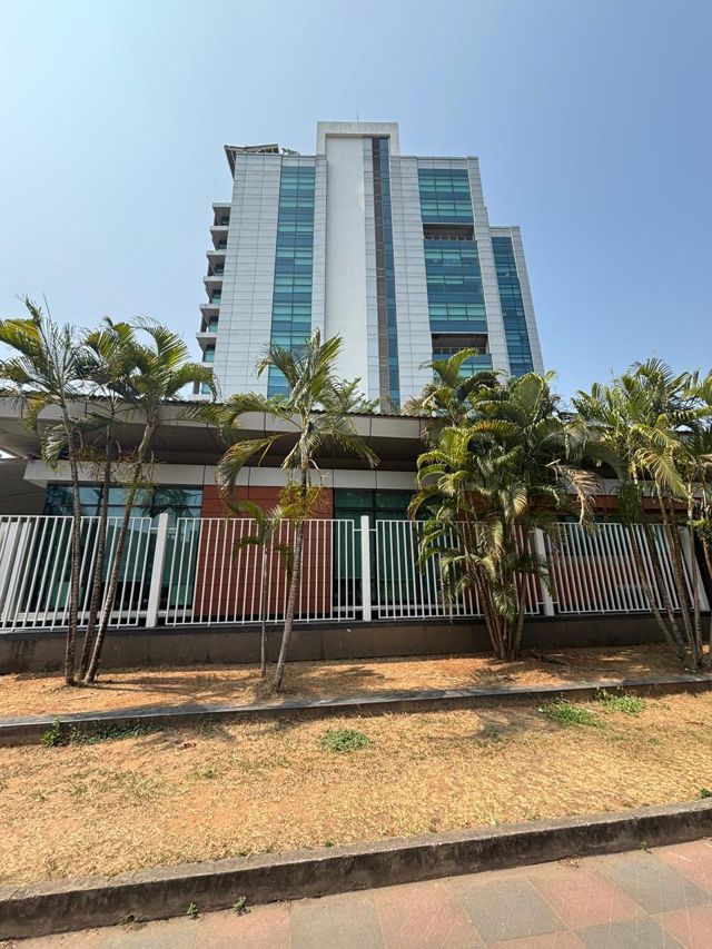 A glass office building behind palm trees